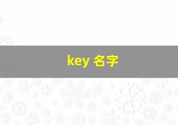 key 名字